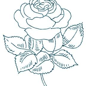 Раскраска Цветы Раскраска Цветы