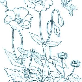 Раскраска Цветы Раскраска Цветы