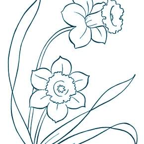 Раскраска Цветы Раскраска Цветы