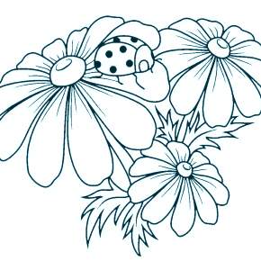 Раскраска Цветы Раскраска Цветы