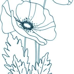 Раскраска Цветы Раскраска Цветы