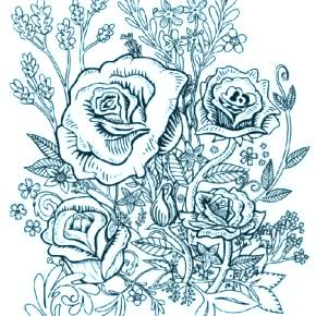 Раскраска Цветы Раскраска Цветы