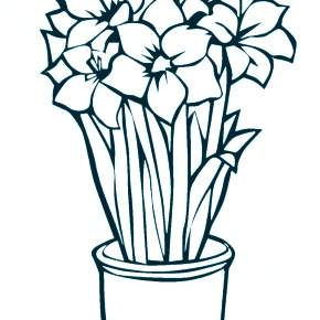 Раскраска Цветы Раскраска Цветы
