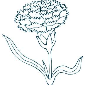 Раскраска Цветы Раскраска Цветы