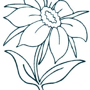 Раскраска Цветы Раскраска Цветы