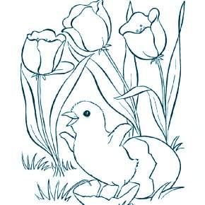 Раскраска Цветы Раскраска Цветы