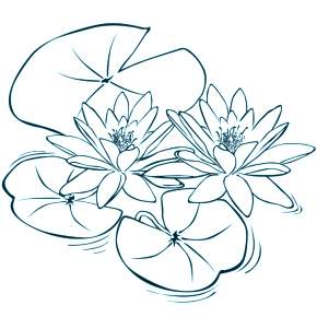 Раскраска Цветы Раскраска Цветы