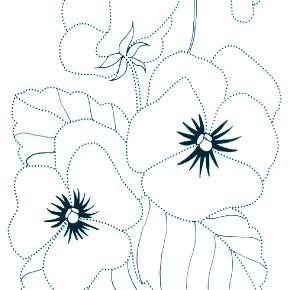 Раскраска Цветы Раскраска Цветы