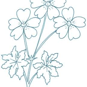 Раскраска Цветы Раскраска Цветы
