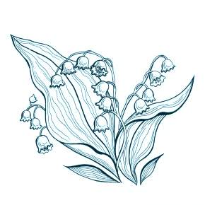 Раскраска Цветы Раскраска Цветы