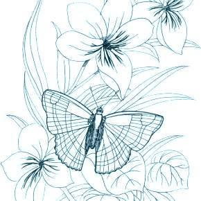 Раскраска Цветы Раскраска Цветы