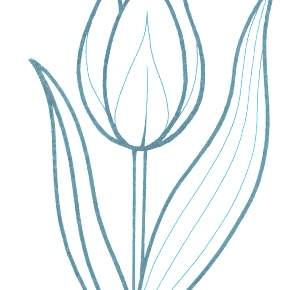 Раскраска Цветы Раскраска Цветы