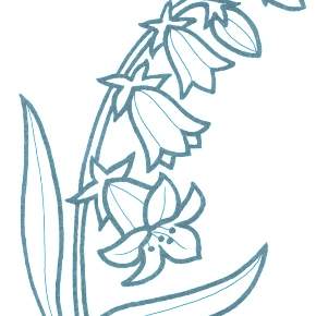 Раскраска Цветы Раскраска Цветы