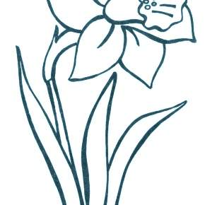 Раскраска Цветы Раскраска Цветы