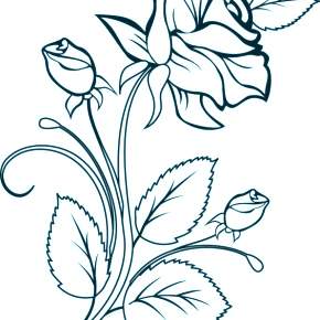 Раскраска Цветы Раскраска Цветы