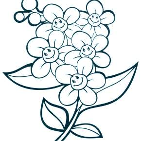 Раскраска Цветы Раскраска Цветы