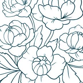 Раскраска Цветы Раскраска Цветы
