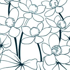 Раскраска Цветы Раскраска Цветы