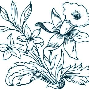 Раскраска Цветы Раскраска Цветы