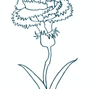 Раскраска Цветы Раскраска Цветы