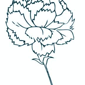 Раскраска Цветы Раскраска Цветы