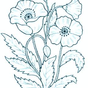 Раскраска Цветы Раскраска Цветы