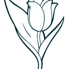 Раскраска Цветы Раскраска Цветы