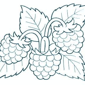 Раскраска Цветы Раскраска Цветы