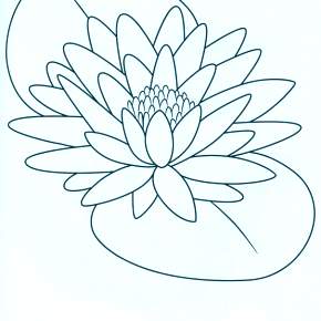 Раскраска Цветы Раскраска Цветы