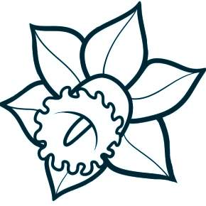 Раскраска Цветы Раскраска Цветы