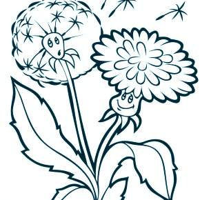 Раскраска Цветы Раскраска Цветы