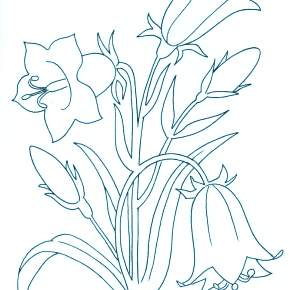Раскраска Цветы Раскраска Цветы