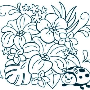 Раскраска Цветы Раскраска Цветы