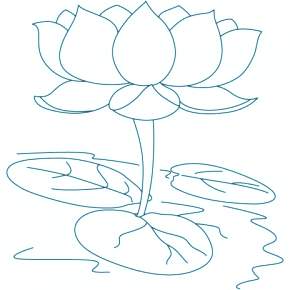 Раскраска Цветы Раскраска Цветы