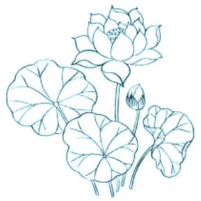 Раскраска Цветы Раскраска Цветы