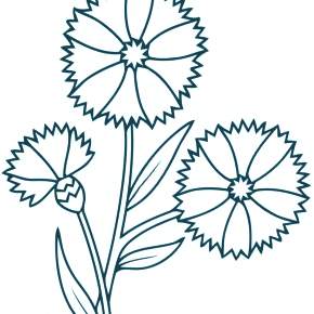 Раскраска Цветы Раскраска Цветы