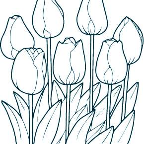 Раскраска Цветы Раскраска Цветы