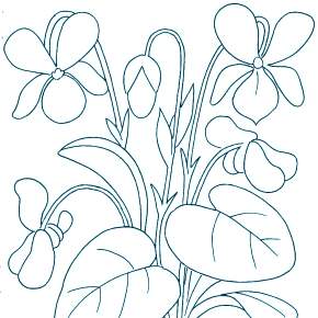 Раскраска Цветы Раскраска Цветы