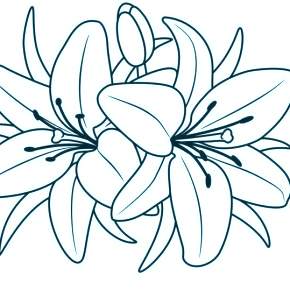 Раскраска Цветы Раскраска Цветы