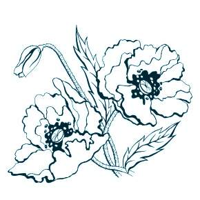 Раскраска Цветы Раскраска Цветы