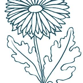 Раскраска Цветы Раскраска Цветы