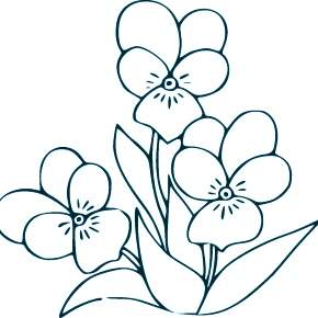Раскраска Цветы Раскраска Цветы