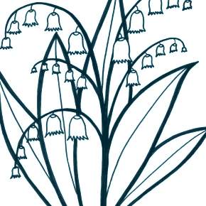 Раскраска Цветы Раскраска Цветы