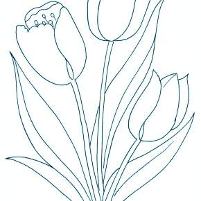 Раскраска Цветы Раскраска Цветы