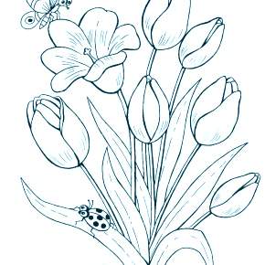 Раскраска Цветы Раскраска Цветы