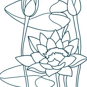 Раскраска Цветы Раскраска Цветы