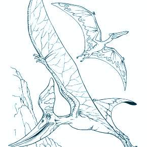 Раскраска Динозавры