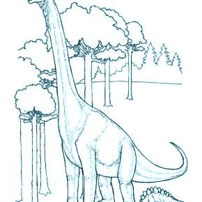 Раскраска Динозавры