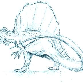 Раскраска Динозавры