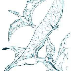 Раскраска Динозавры